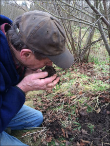 Checking for Truffle Maturity
